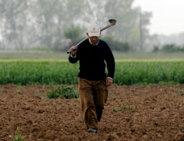 Προθεσμία 10 ημερών στους αγρότες για τακτοποίηση των εκτάσεών τους